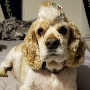 Meet your Posher, Jill